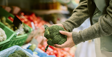 買い物用のエコバッグとして使用