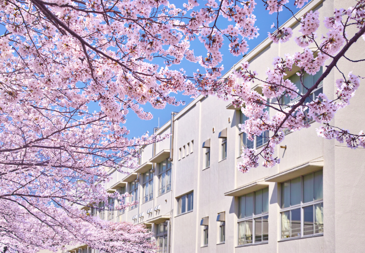シーン別