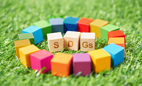 SDGS