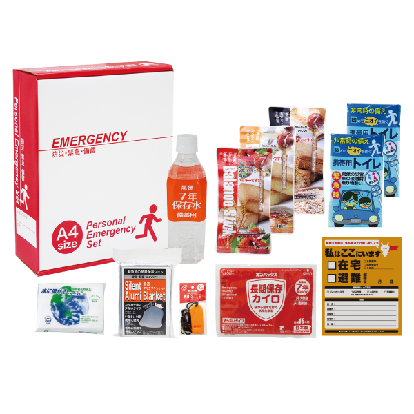 オリジナル　1DAY災害対策11点セット