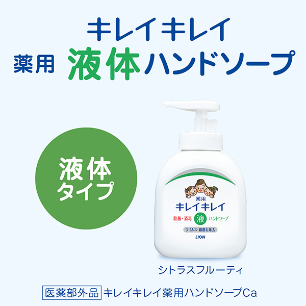 【既製品】LION ライオン キレイキレイ 薬用液体ハンドソープ 250ml 箱入
