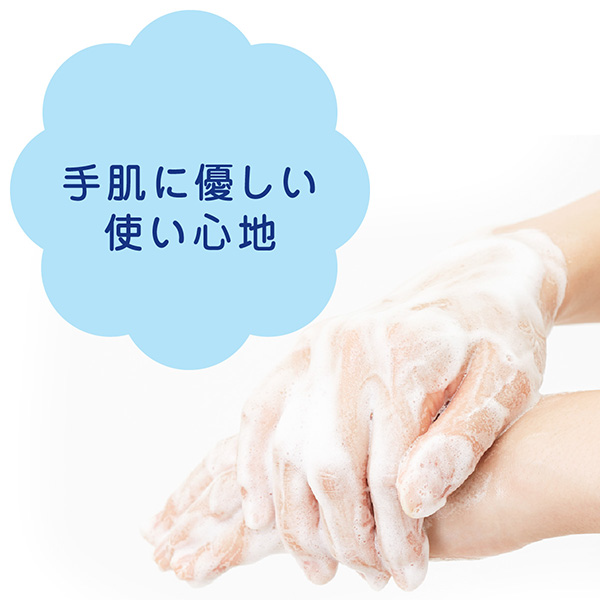 【既製品】LION ライオン キレイキレイ 薬用液体ハンドソープ 250ml 箱入