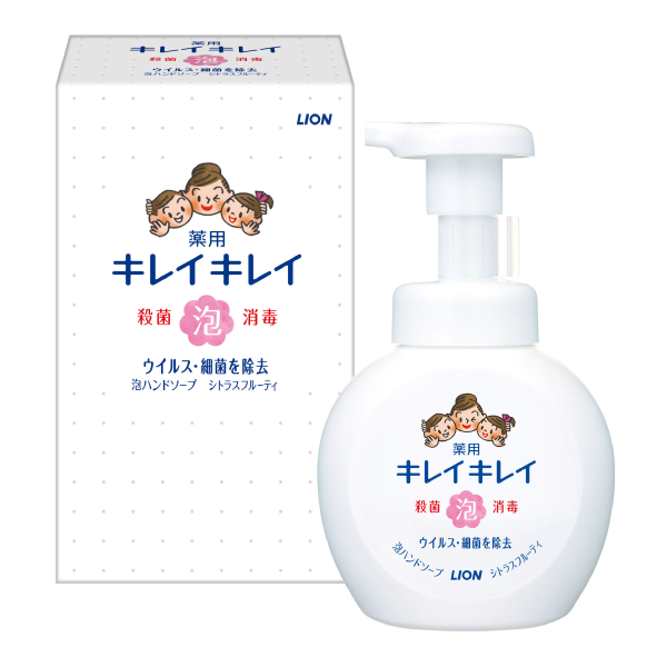 【既製品】LION　ライオン　キレイキレイ　薬用泡ハンドソープ　250ml　箱入