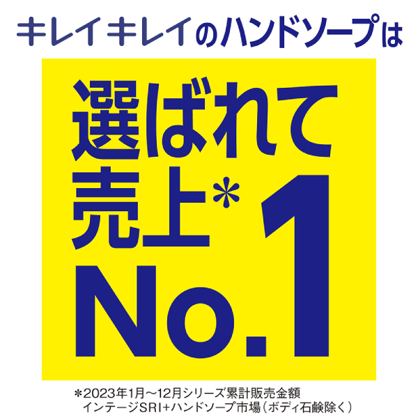 【既製品】LION ライオン キレイキレイ 薬用泡ハンドソープ 250ml 箱入