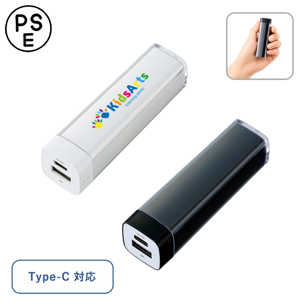 オリジナル　カスタムデザインチャージャー2200　Type-C対応